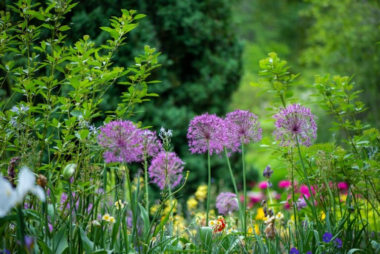 Photo "The Gardeners Guide: Tips for a Dream Garden"