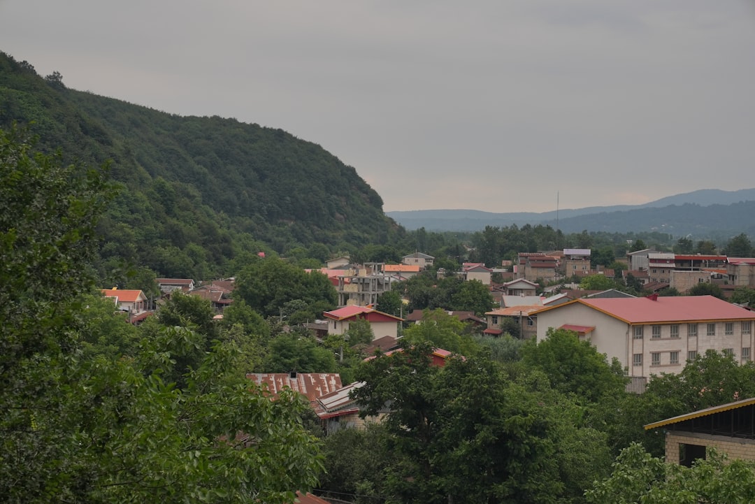 Photo caricaturii de presă