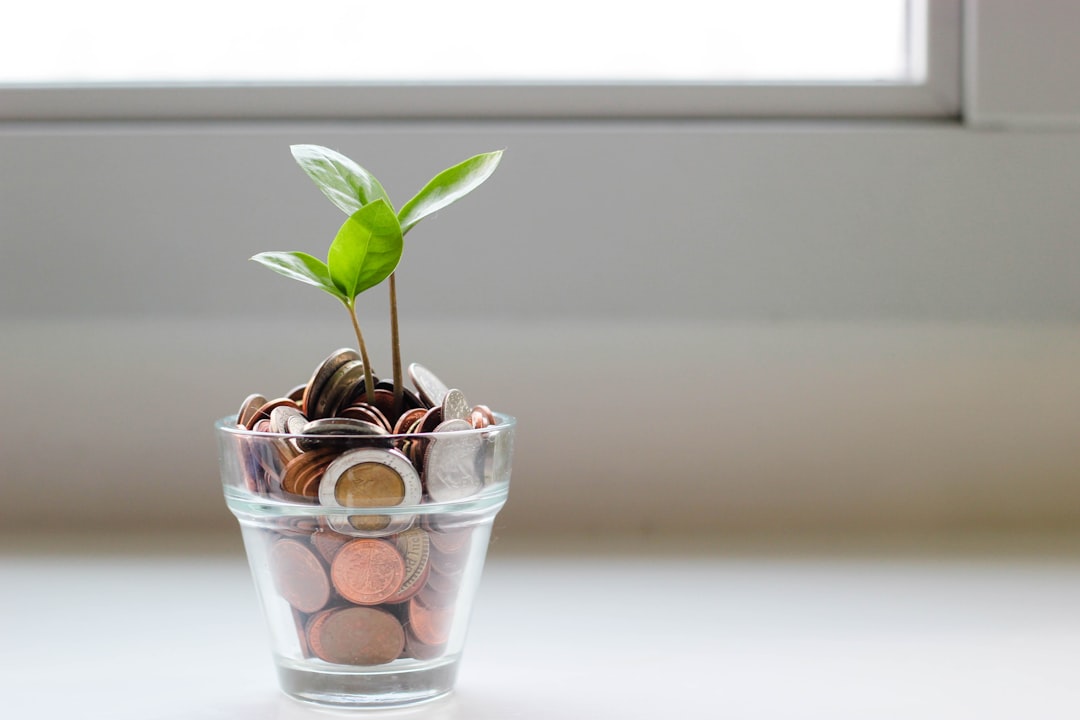 Photo savings or investment